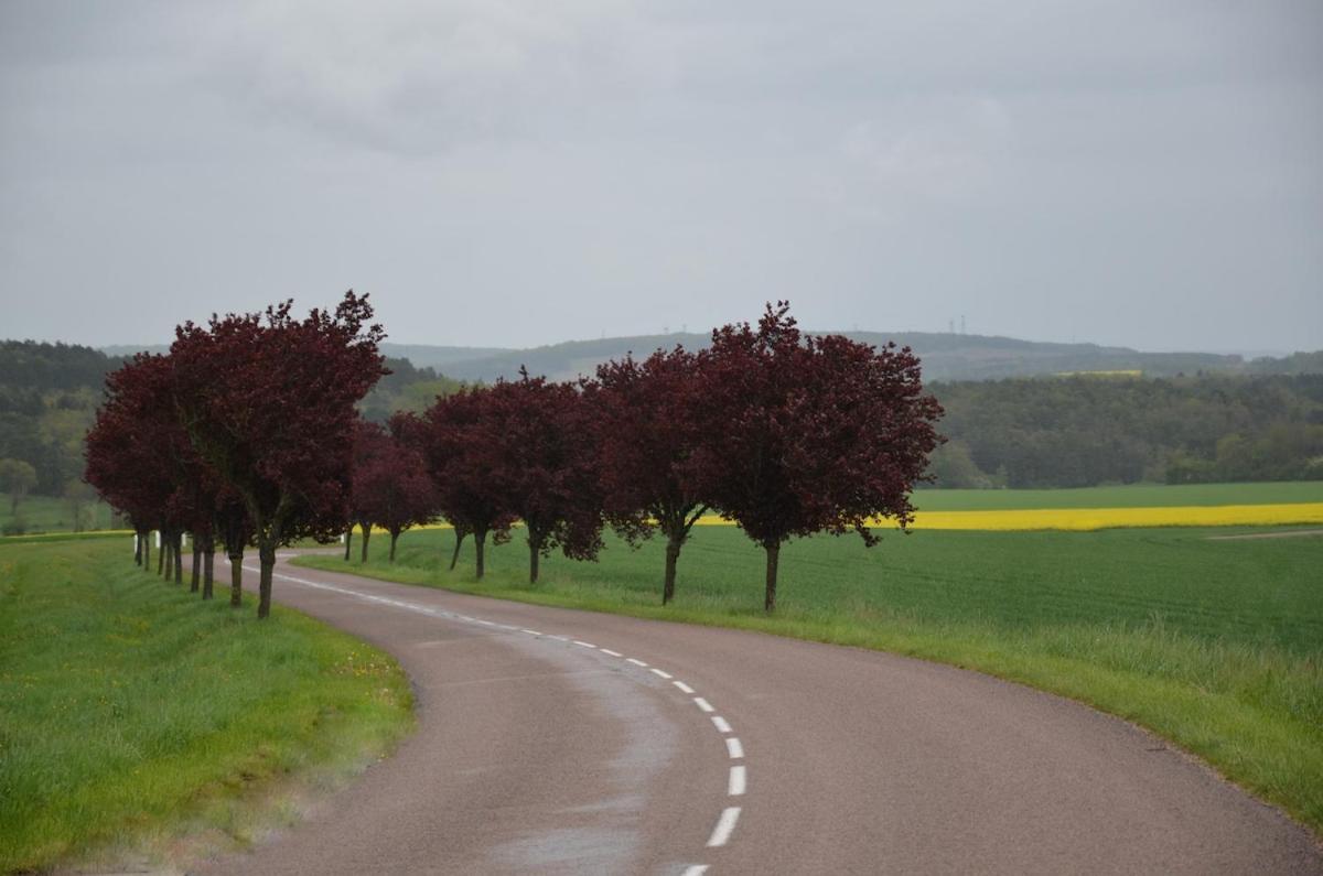 Chalet Bois Pleine Campagne A Pontigny Bagian luar foto