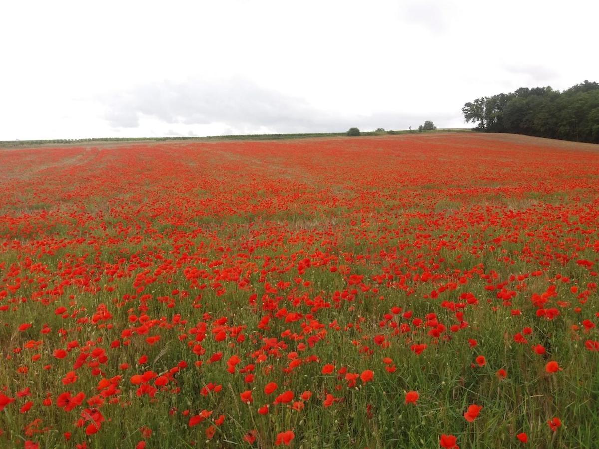 Chalet Bois Pleine Campagne A Pontigny Bagian luar foto