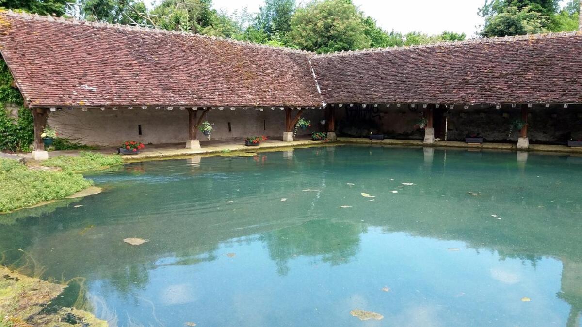Chalet Bois Pleine Campagne A Pontigny Bagian luar foto