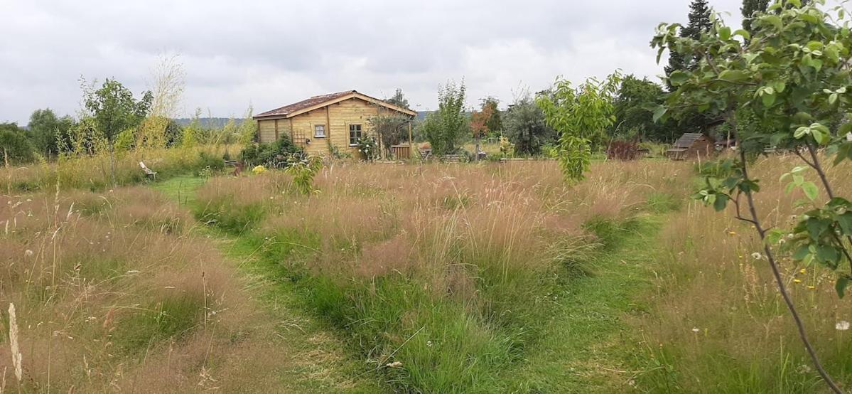 Chalet Bois Pleine Campagne A Pontigny Bagian luar foto